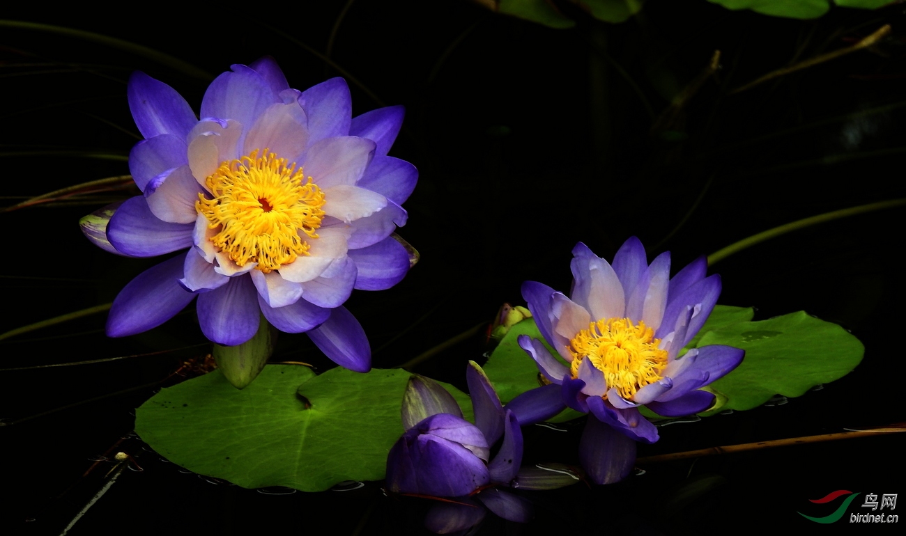 DSCN5579.JPG