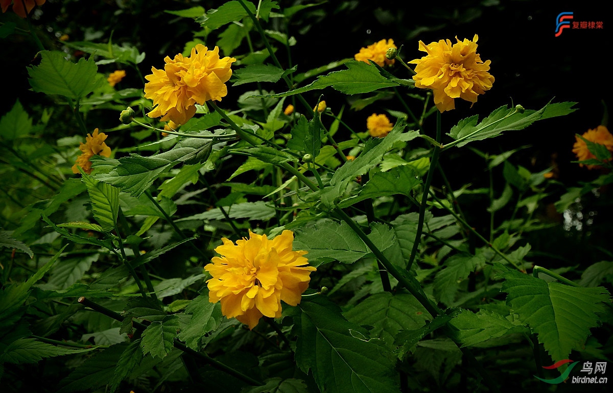 P8020056.jpg