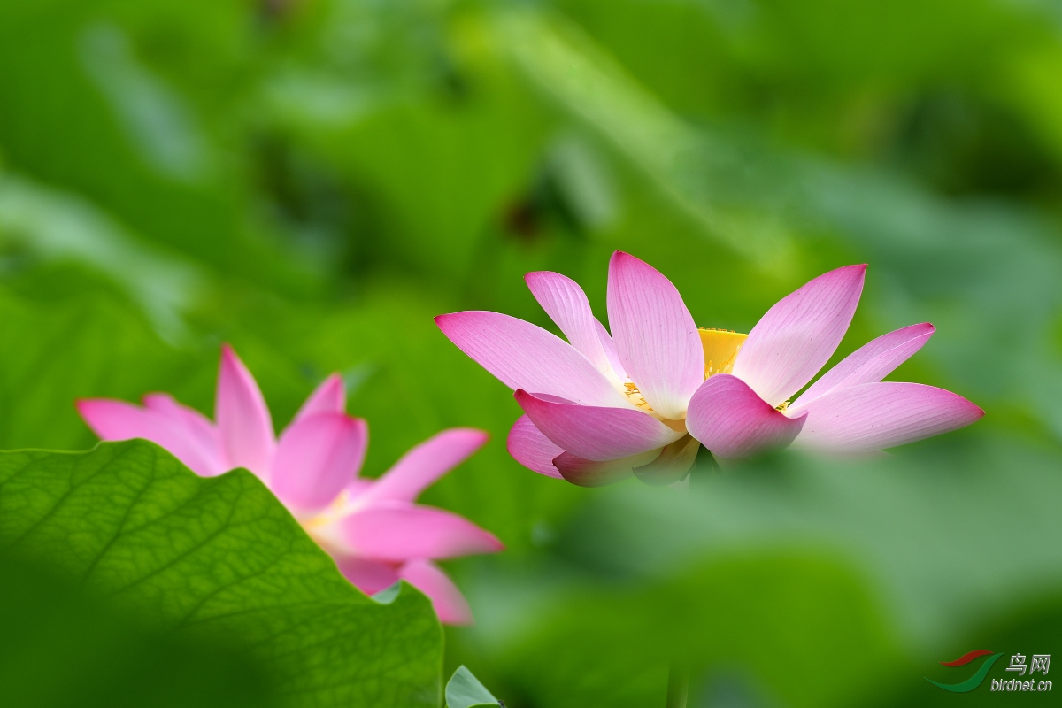 DSC_7207.JPG