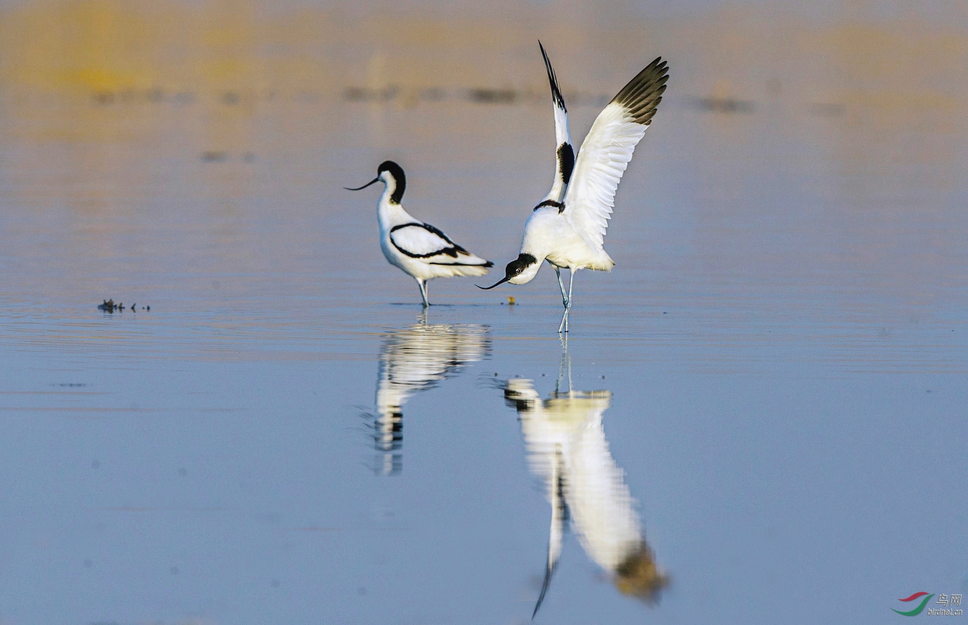 BW4Q4268 - ����.jpg