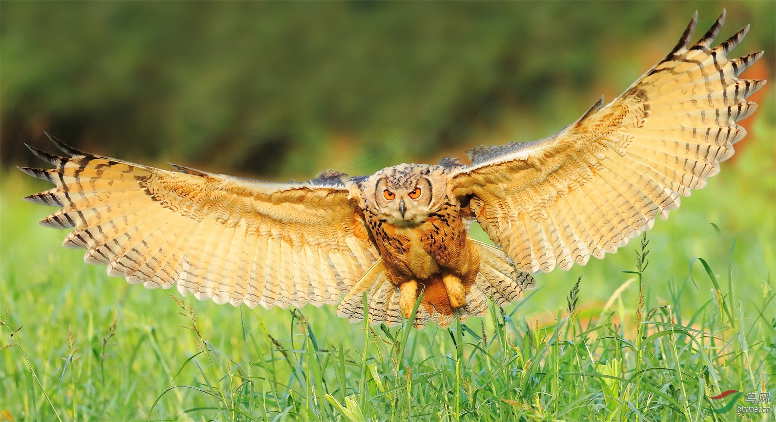 22 - ����.jpg