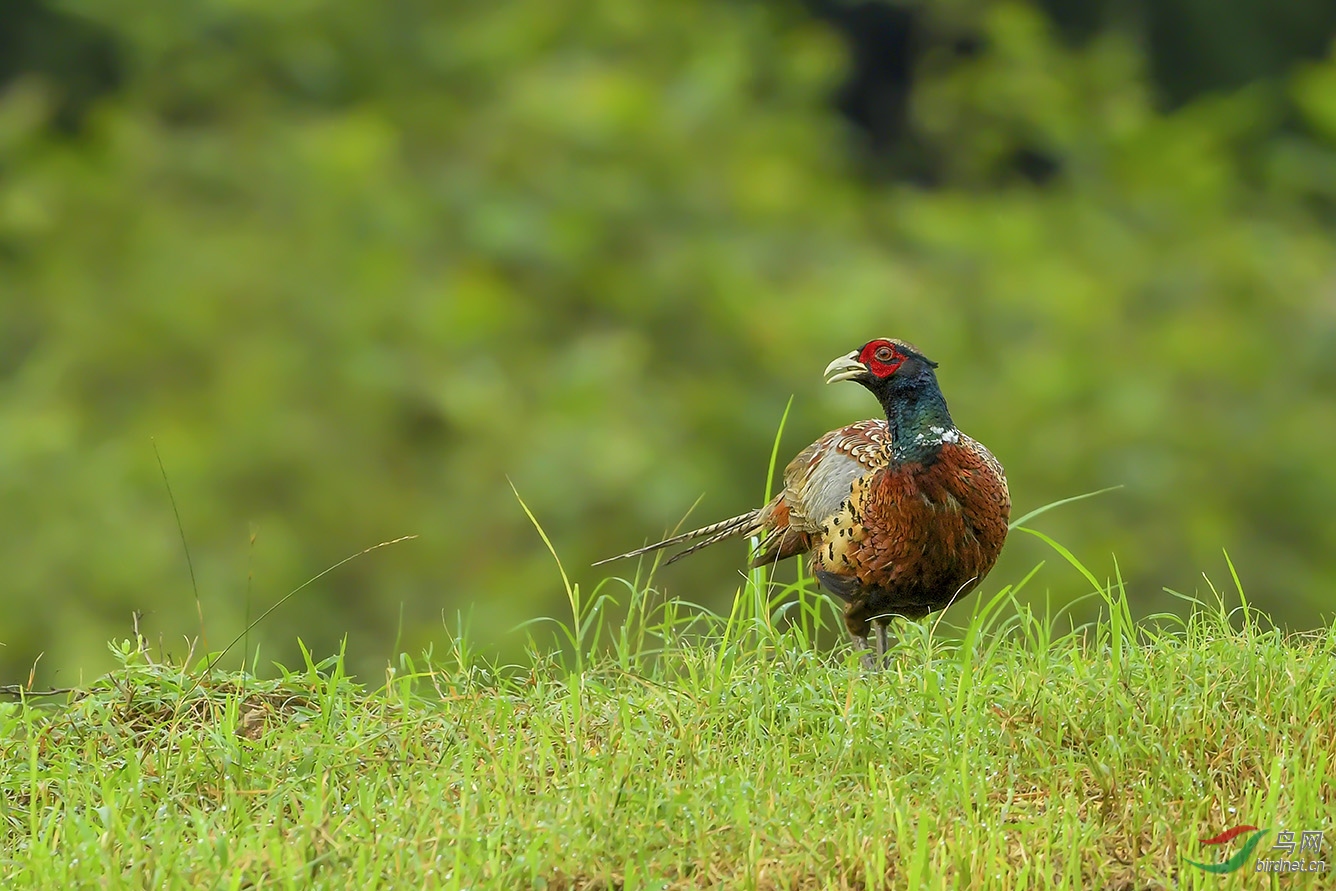 DSC_2579-2.jpg
