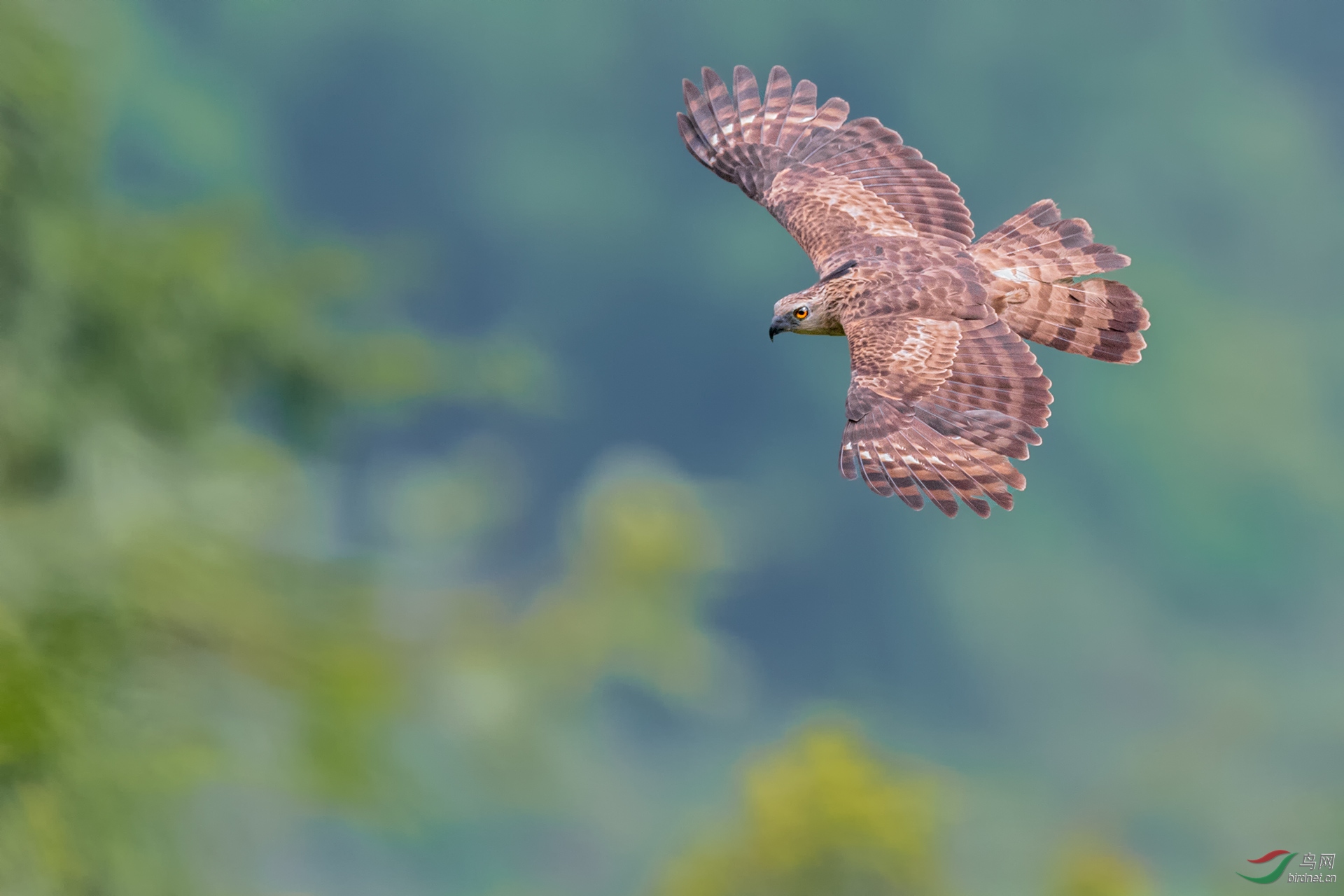 _DSC7143-1.jpg