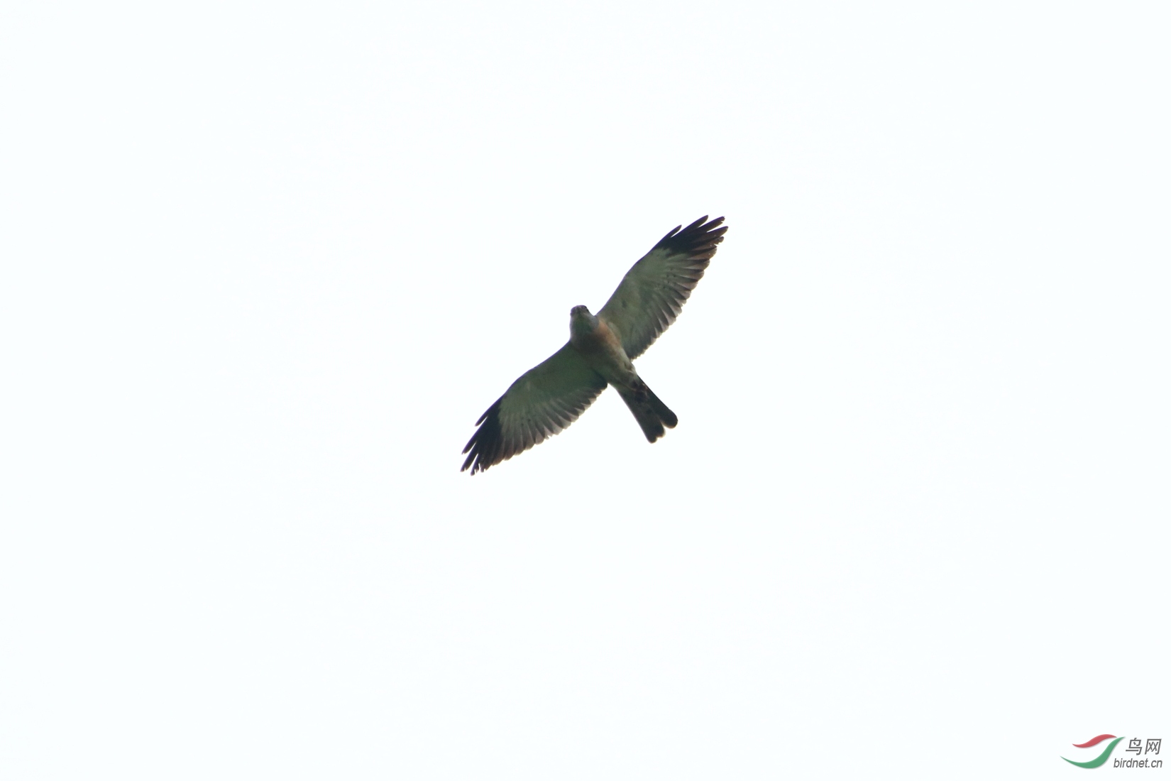 IMG_3468.JPG