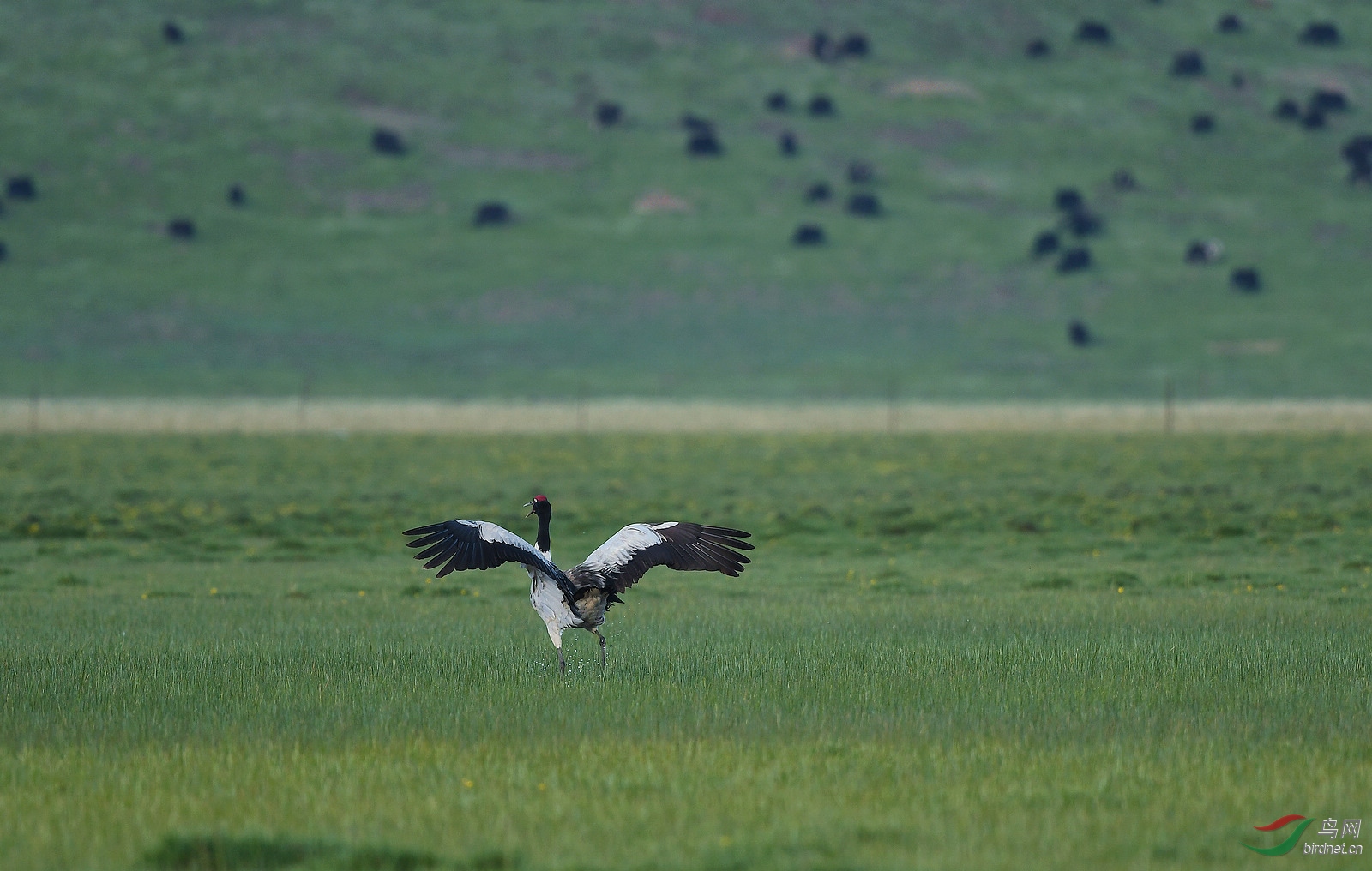 DSC_0543.jpg