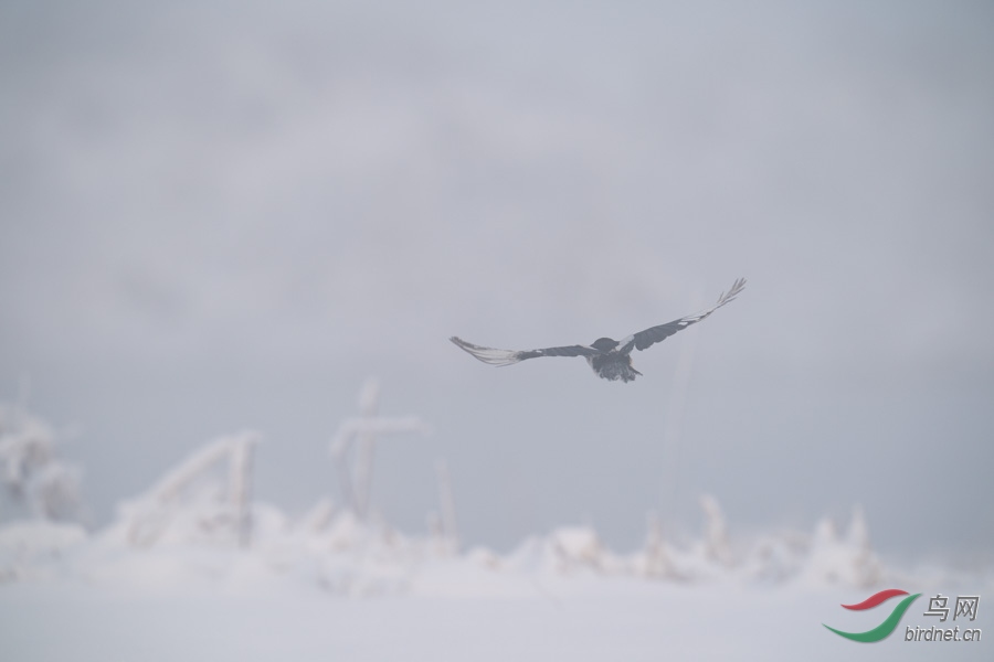 DSC00720.jpg