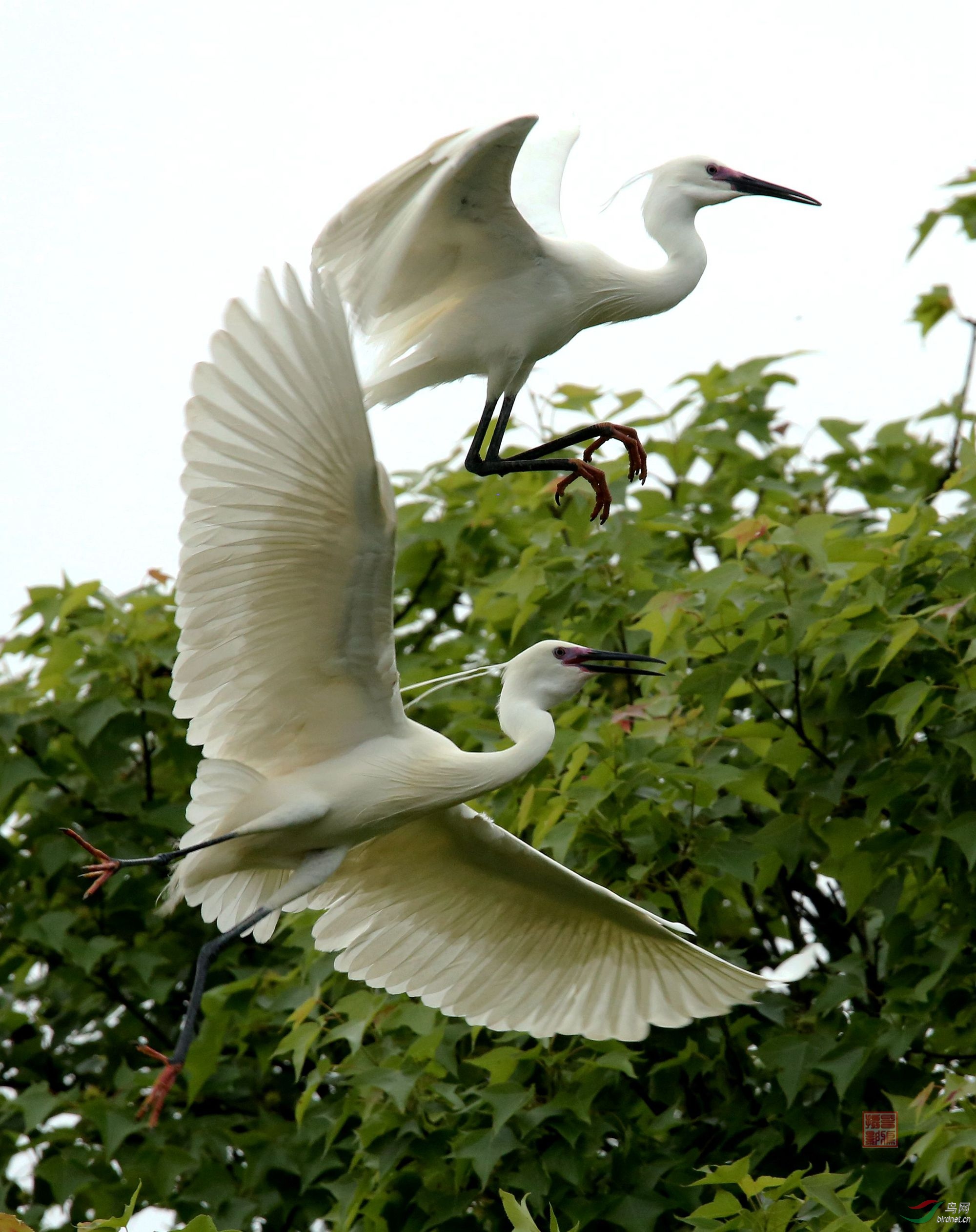 ��Ϸ�İ���