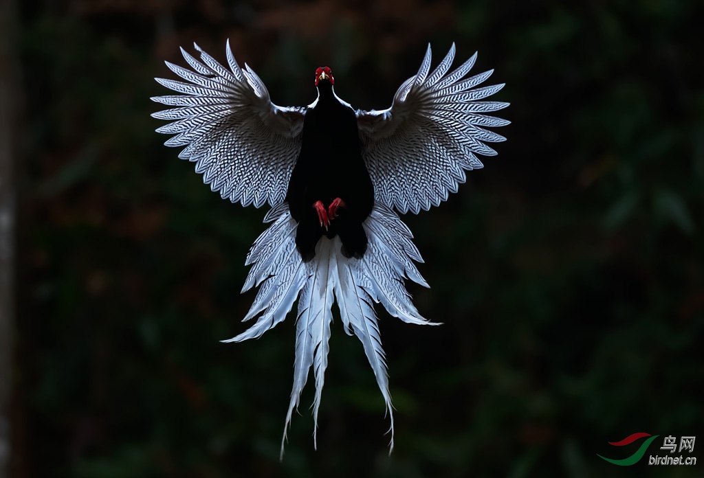 DSC_8473-0.jpg