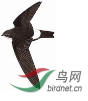 �ֲ�.jpg
