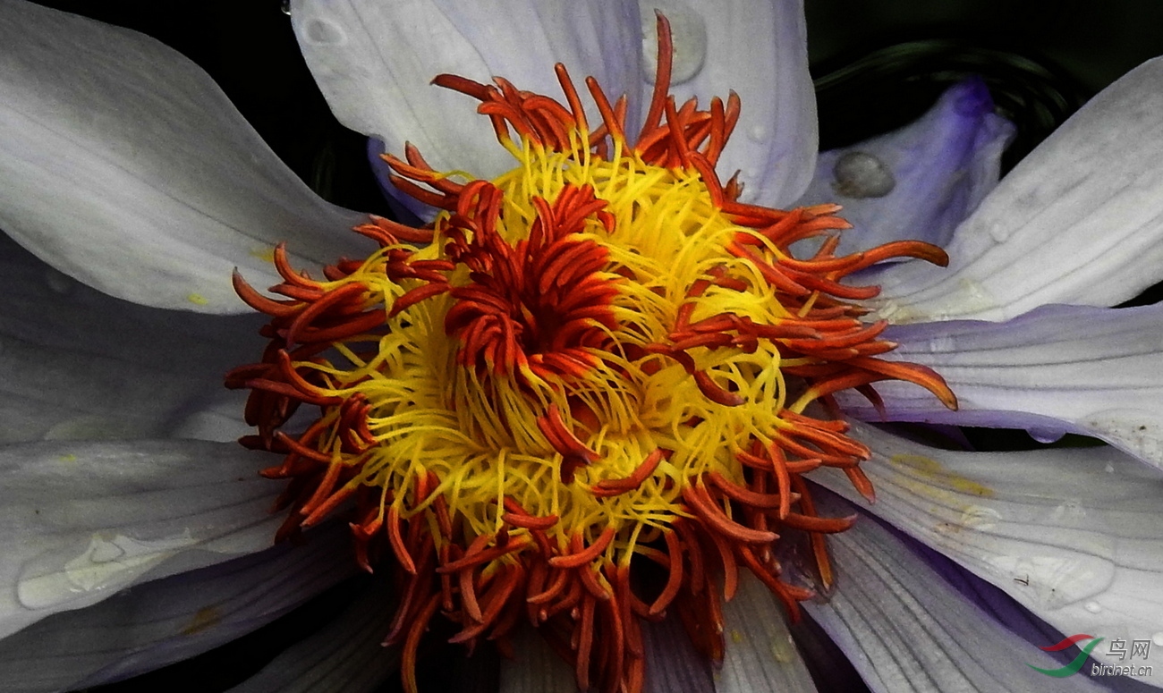 DSCN5605.JPG