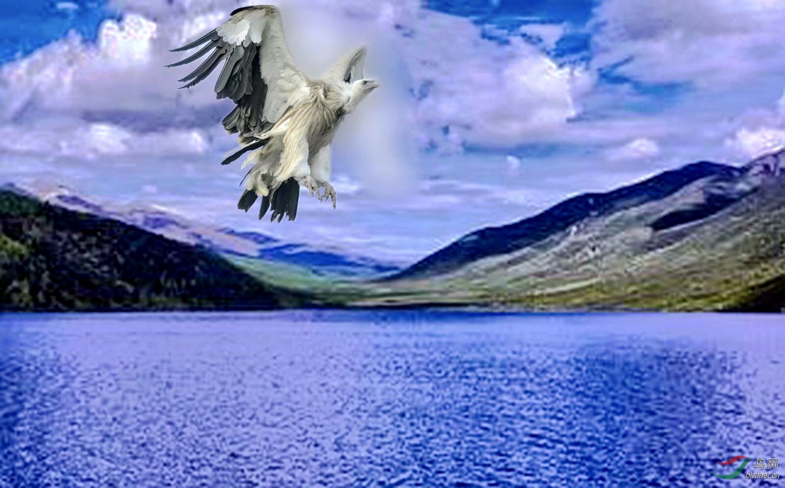 59D3EC01-FD61-400B-8702-D1309B860C78.jpeg