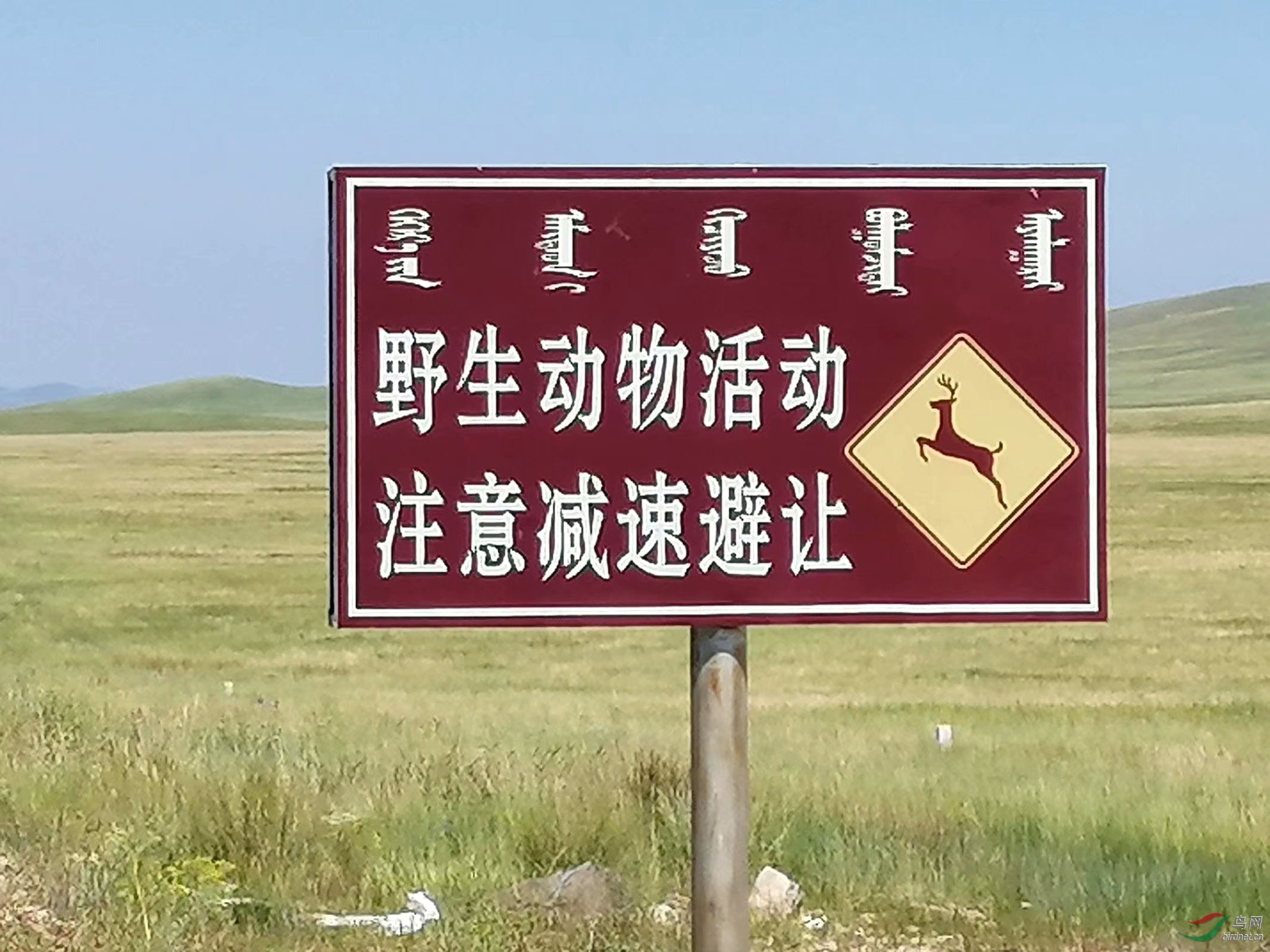 psc (18)������.jpg