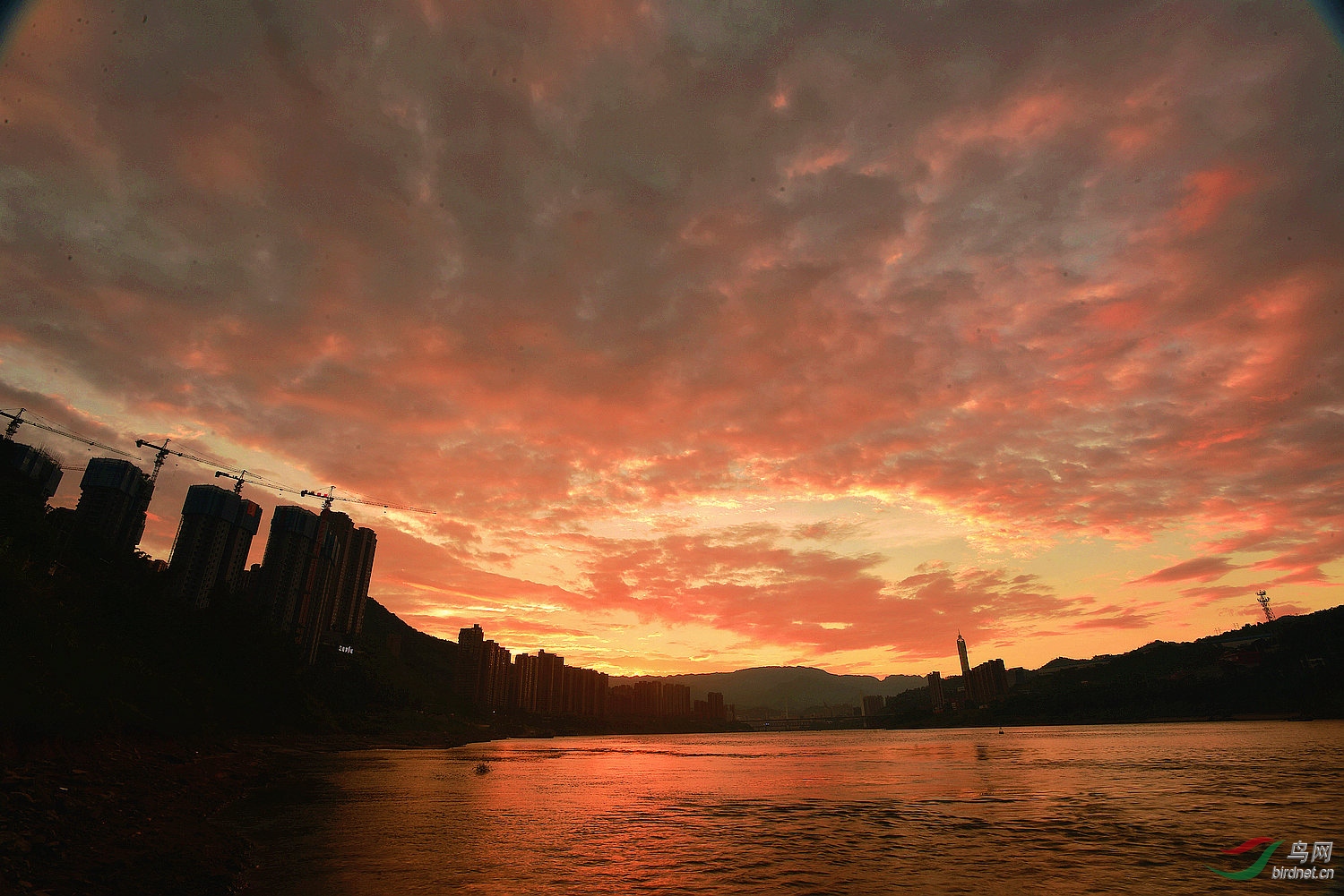D8I_0502.jpg
