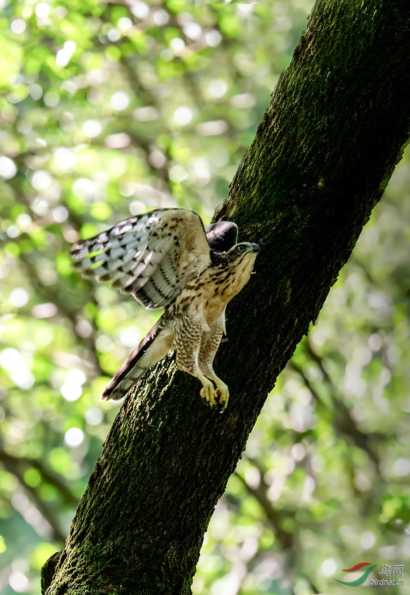 DSC_p7800.jpg