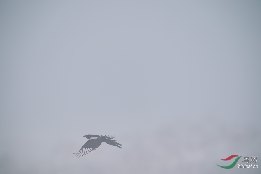 DSC00723.jpg