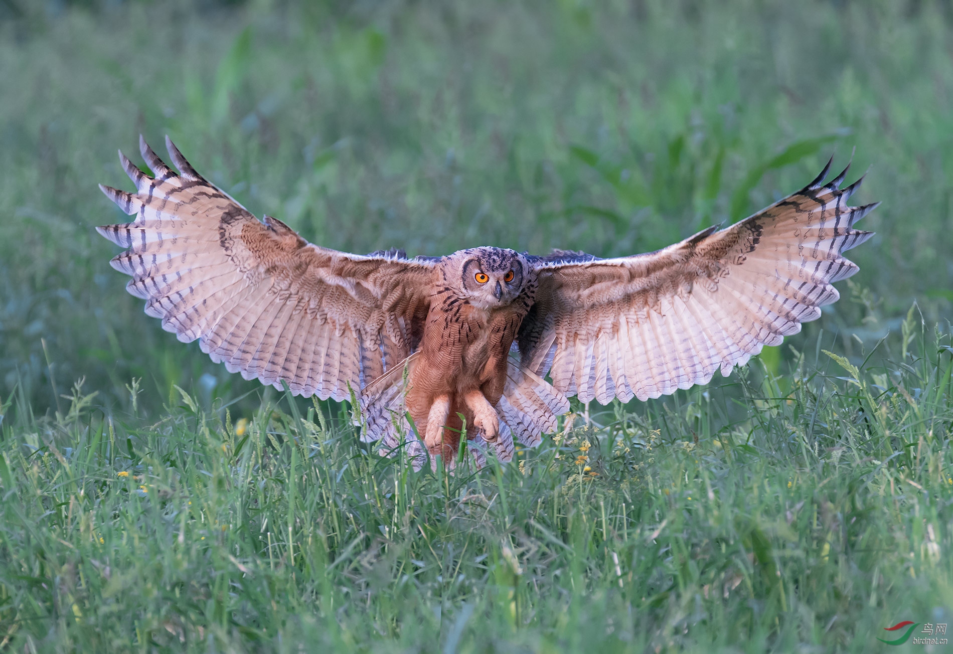 DSC_0794.jpg