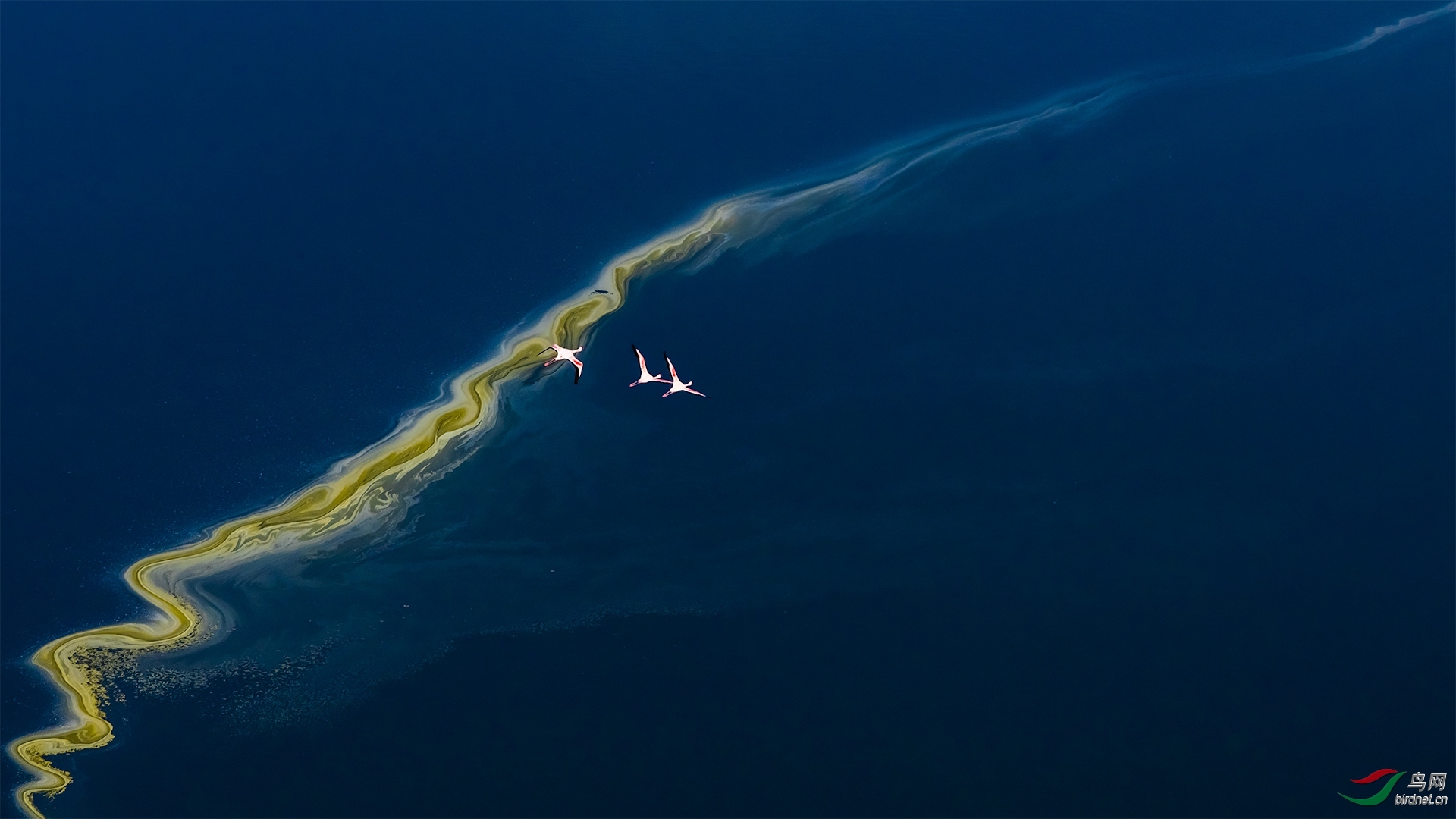 74.5�ֱ�����Ҷ-20202691.���� -.jpg