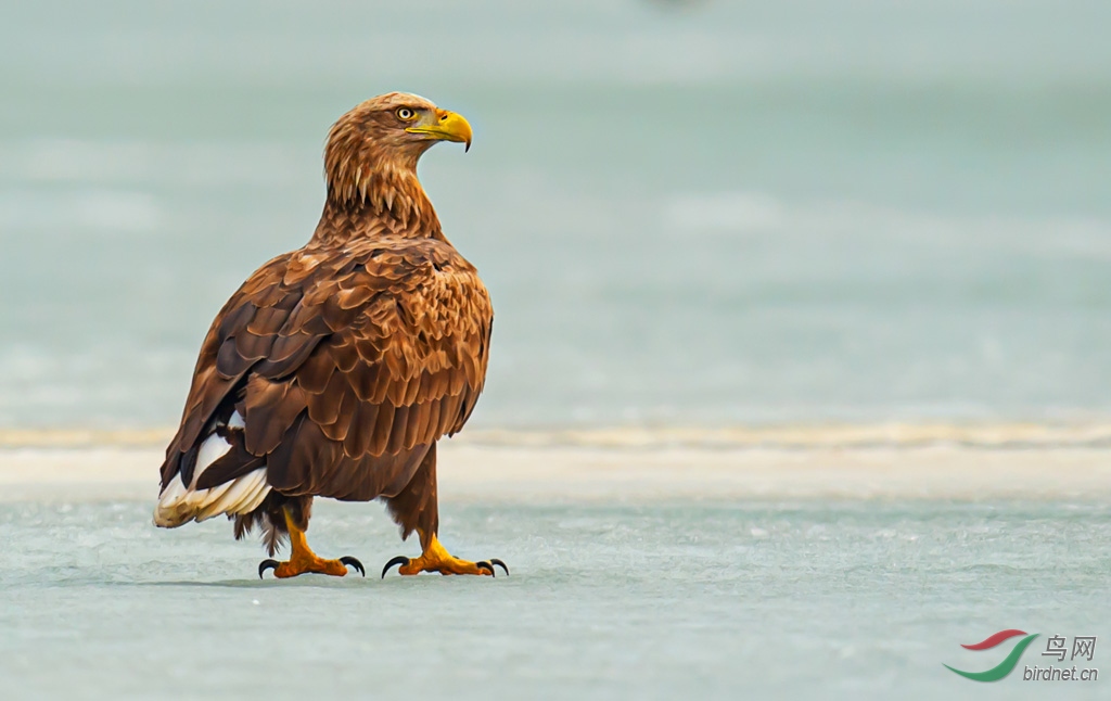 DSC_1289-0.jpg
