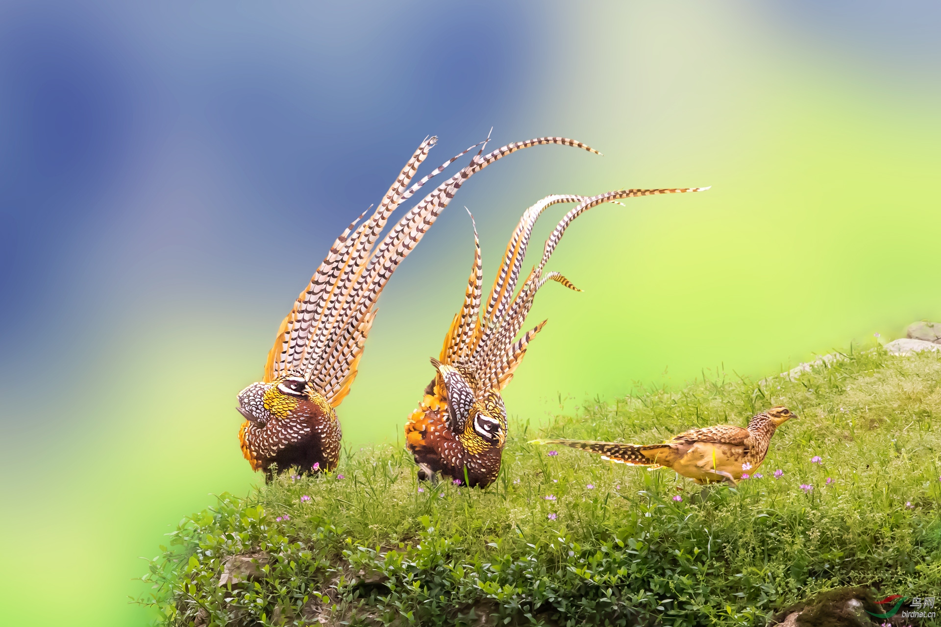 �����ӽ�20201607.�������� (2).jpg