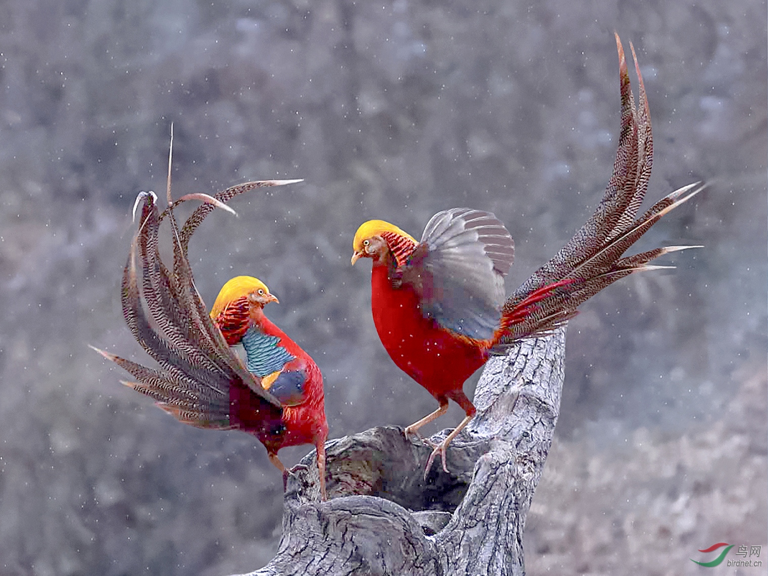 yumin20202209.�츹���� (13).jpg