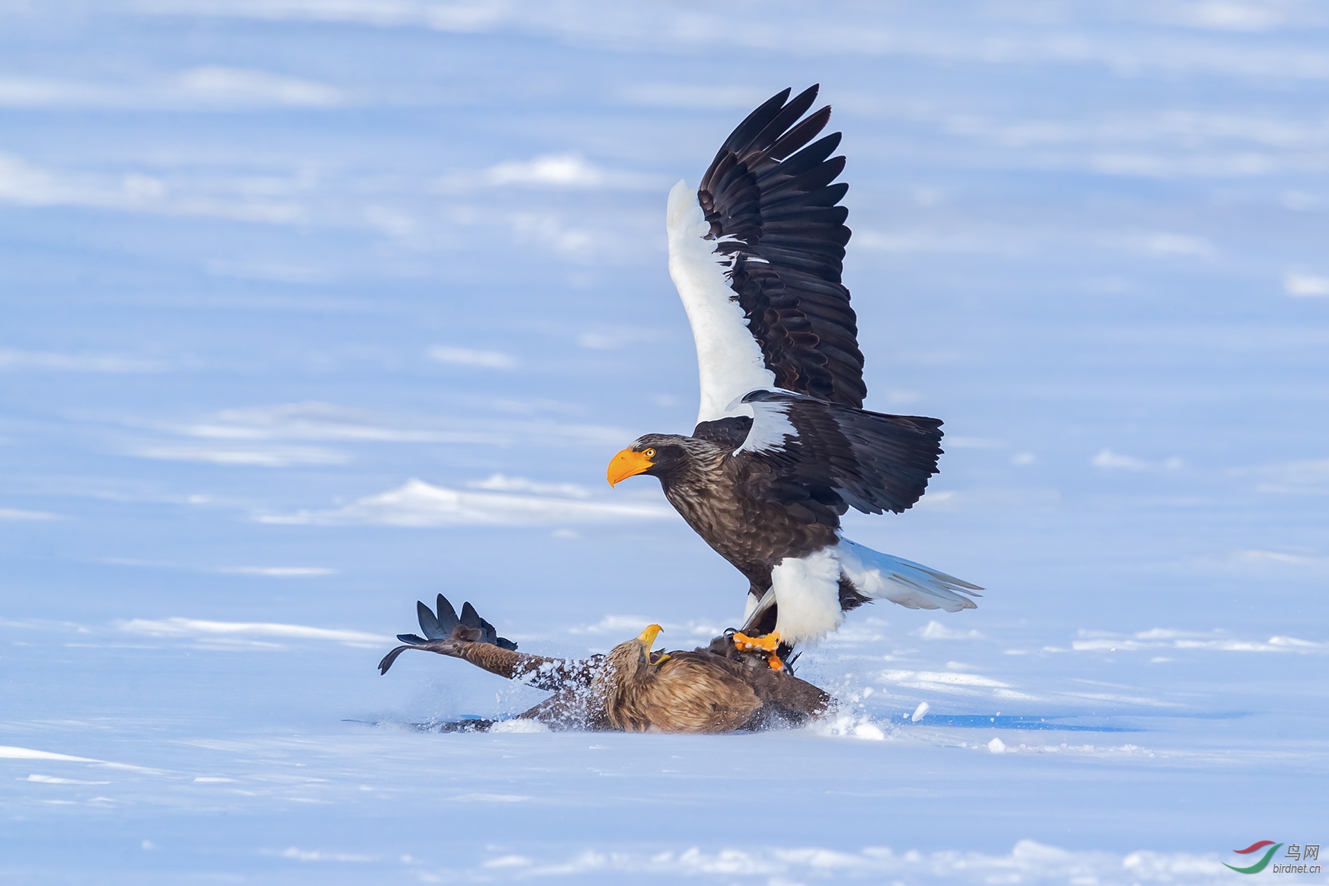 �����ѩ20200004.01 (2).jpg