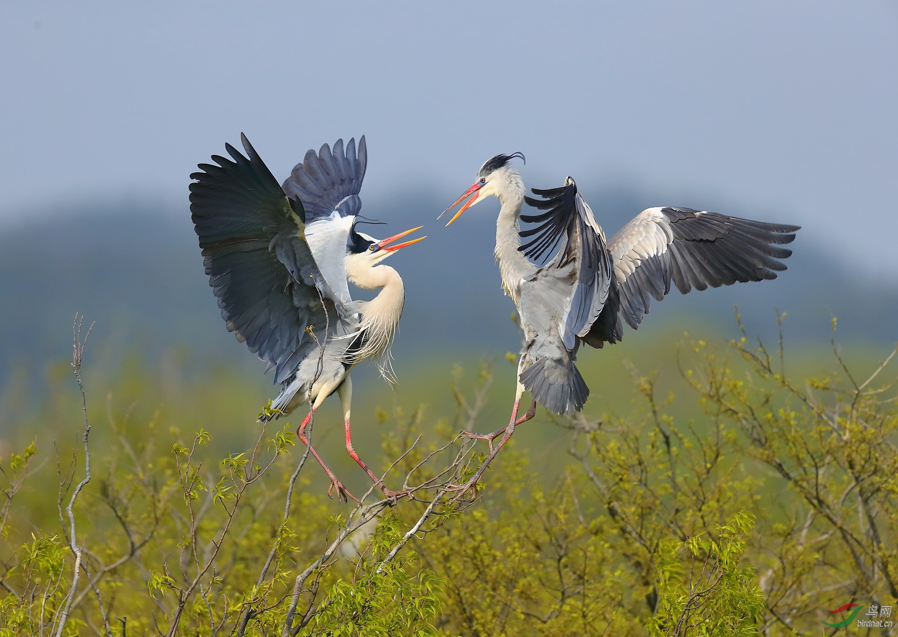 ����20202949.B12I4682         ��·��� ���� ���ٻ� 13970800080.JPG