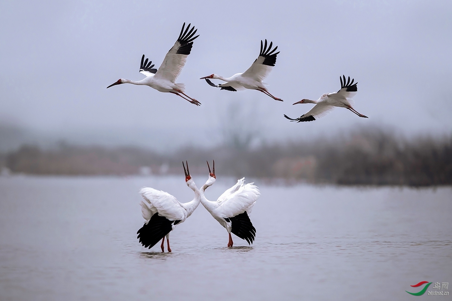 ����Т�п���20202058.�׺� (6).jpg