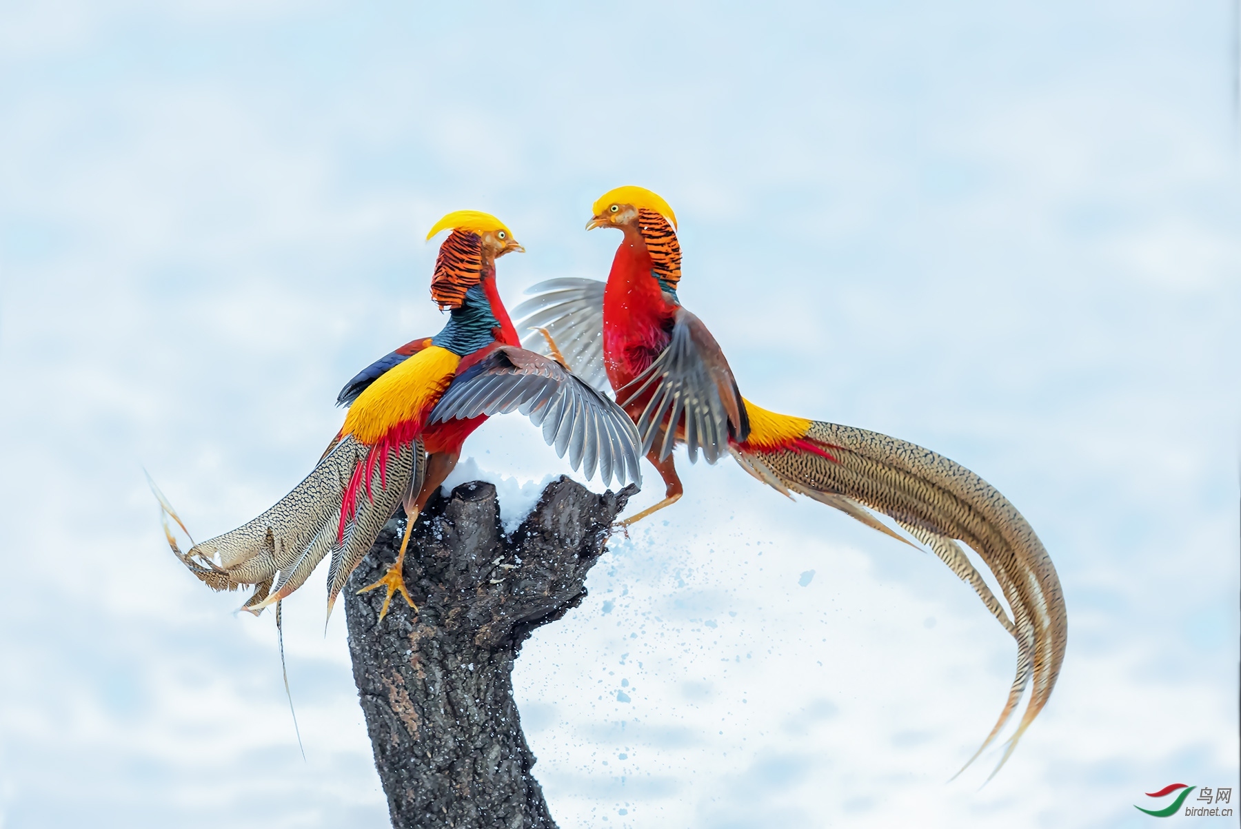 ����20202202.�츹���� (6).jpg