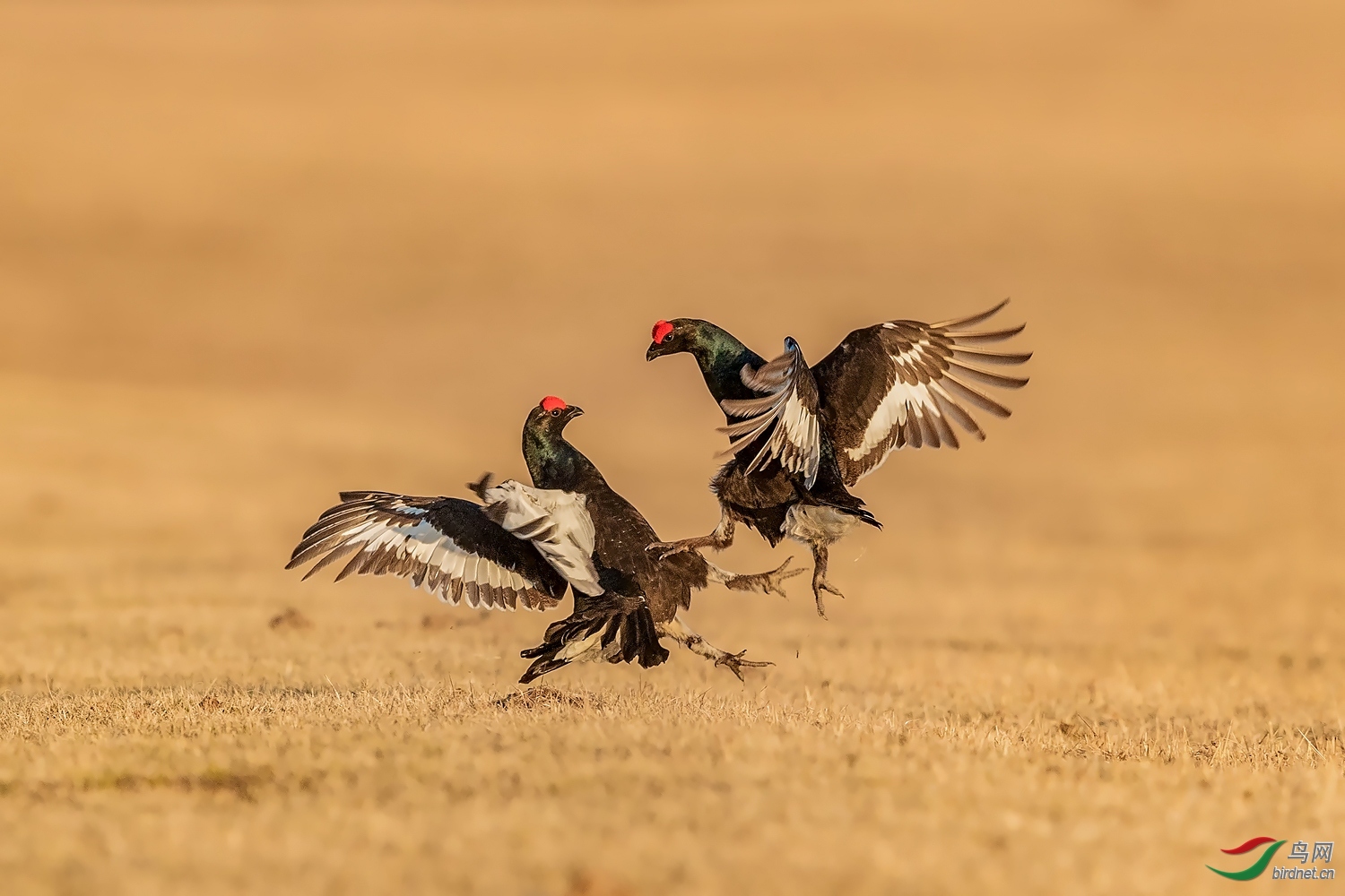 ����20201737.�� (3).jpg