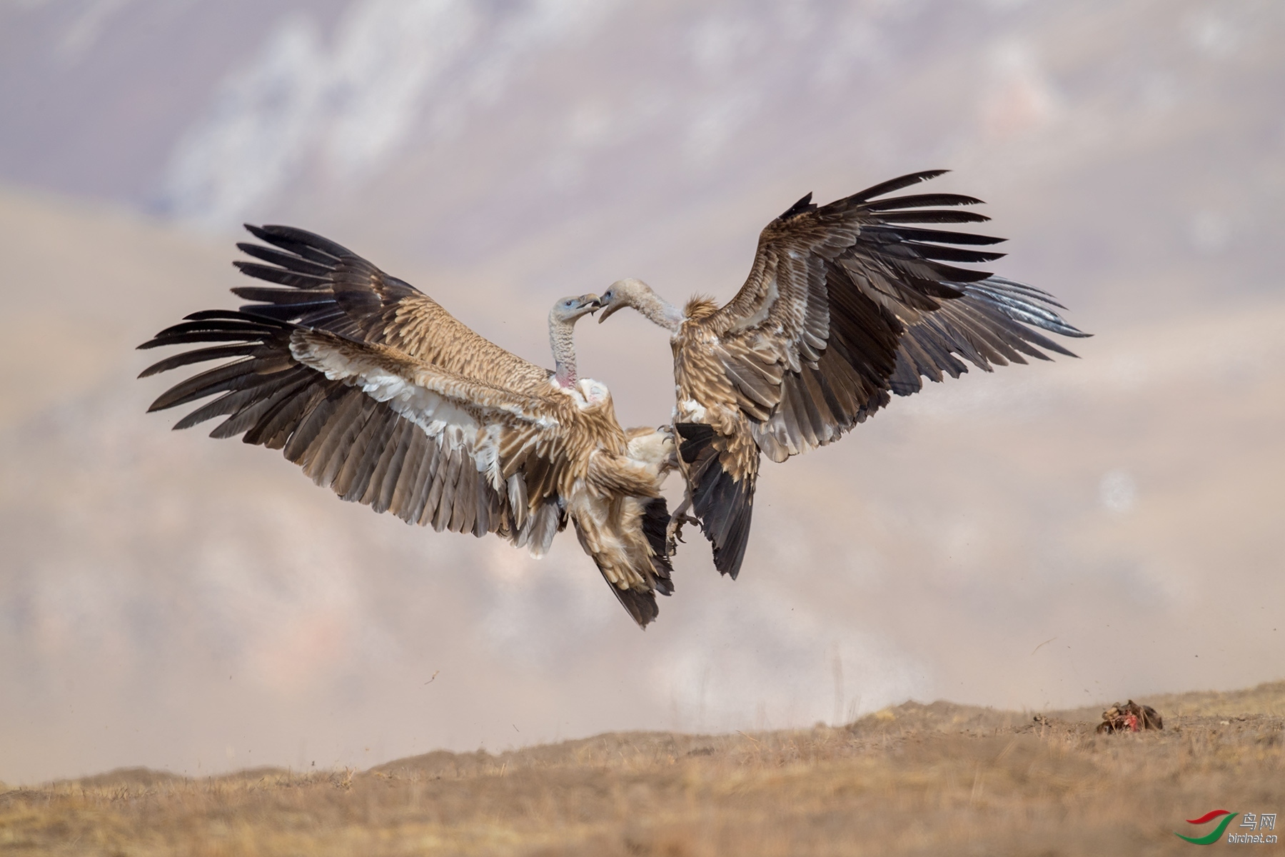 �����޽�20200822.���� (3).jpg