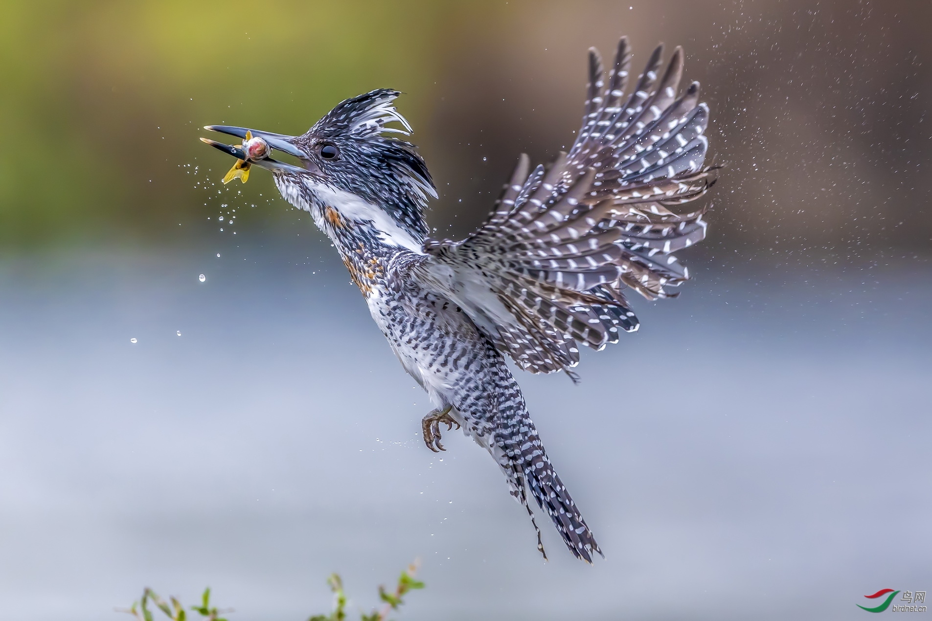 ����20201577.�ջ� (4).jpg