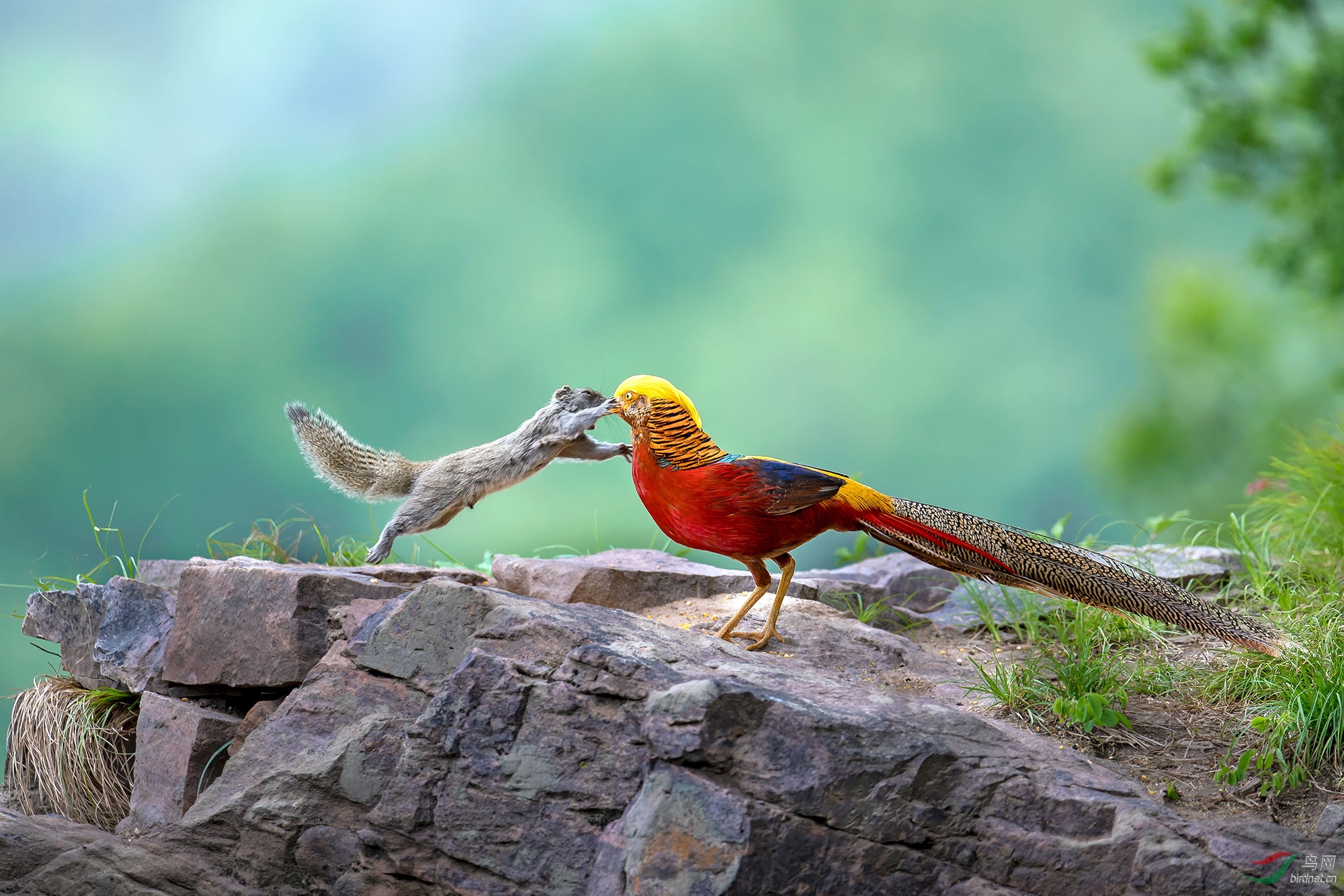 ����20202320.��Ȼ���  ������  ����ս�츹����  13653817008  ����֣��=.jpg