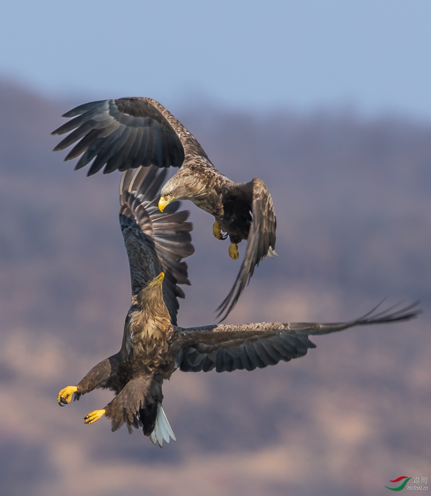 ��������ˮ20201597.�� (2).jpg