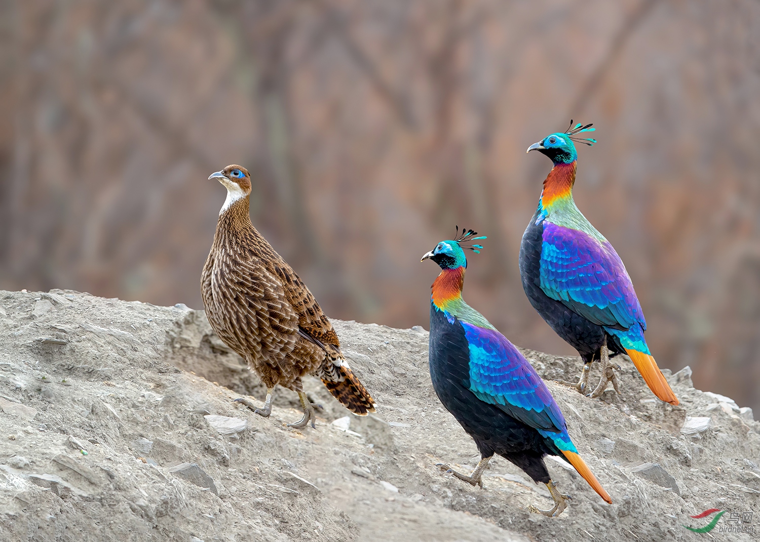 yumin20201749.��β���� (3).jpg