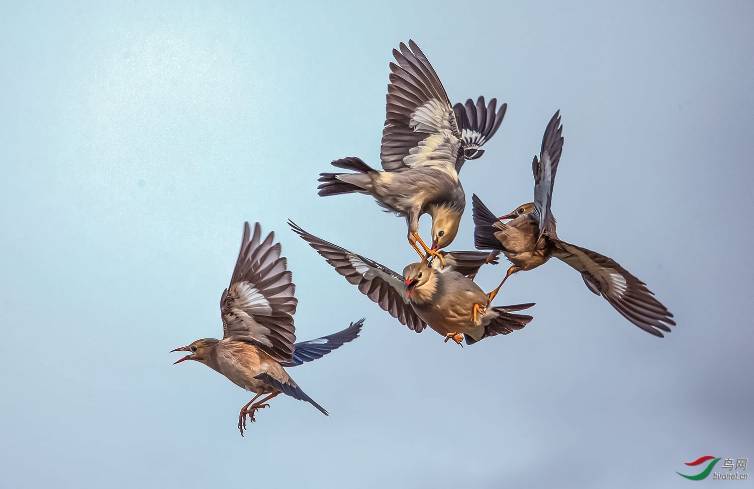 �ݸ���20201865.��ս (5).jpg