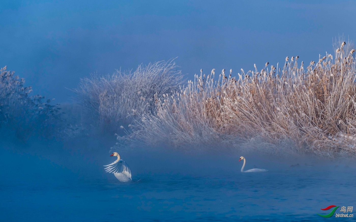 ��Ͳ-20200239.134340hzmhho934u34oxhk (1).jpg