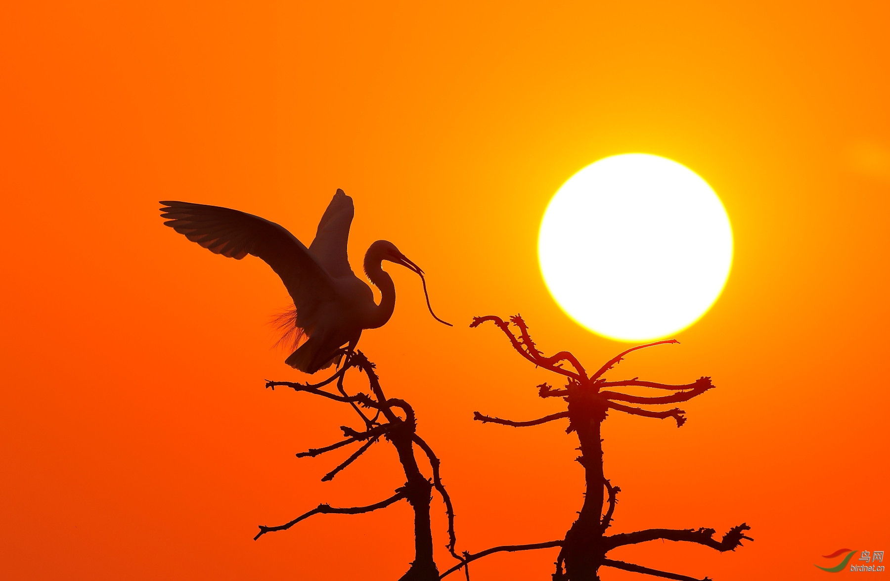 ����20202944.B12I0527         Ϧ������ ���� ���ٻ� 13970800080.JPG