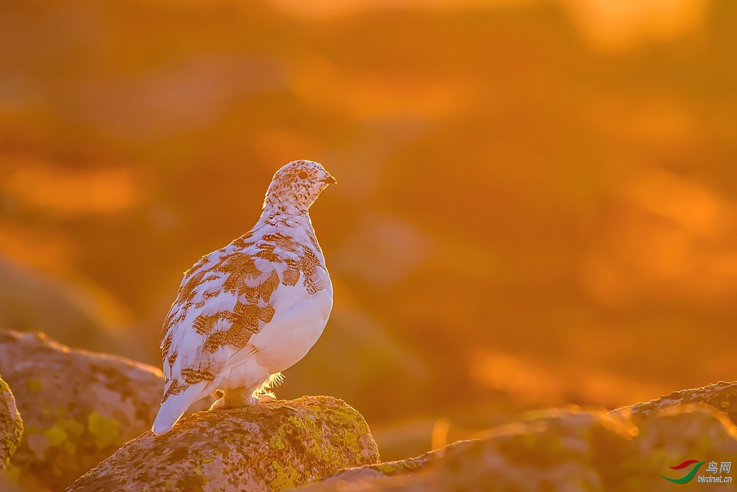 ����20201313.������ (3).jpg