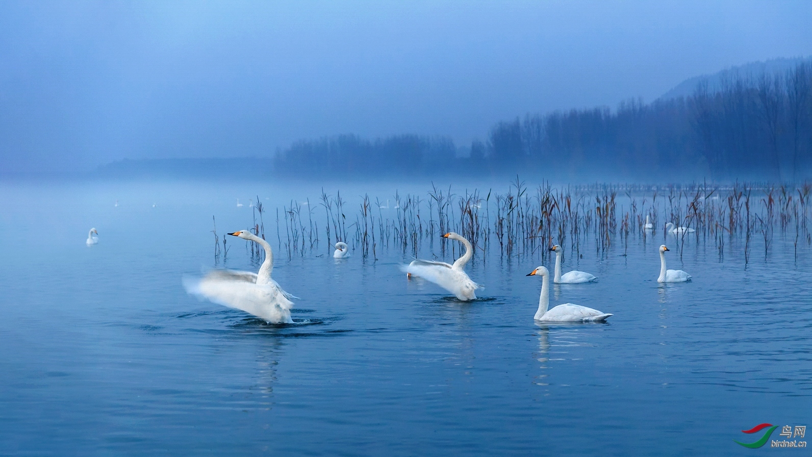 ����20201648.���� (2).jpg