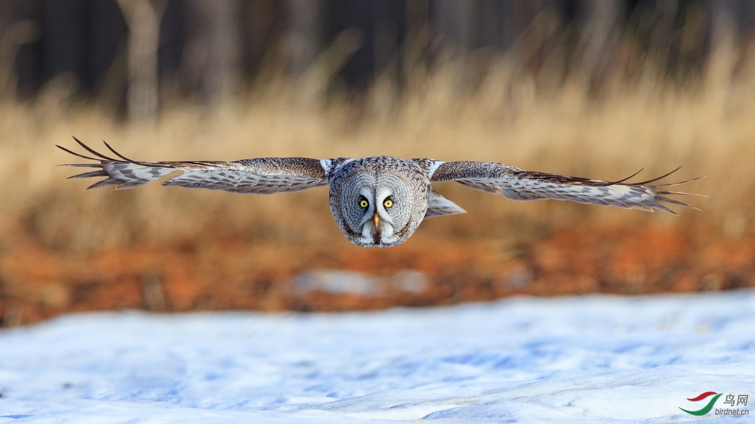 ������20200797.�����^ (5).jpg