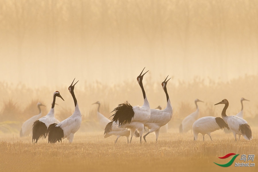 ������20200781.������ (3).jpg