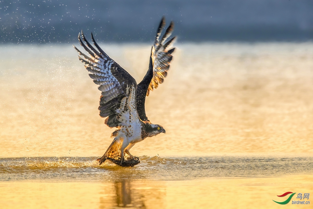 ��ʯ�ɽ�20201548.���� (3).jpg