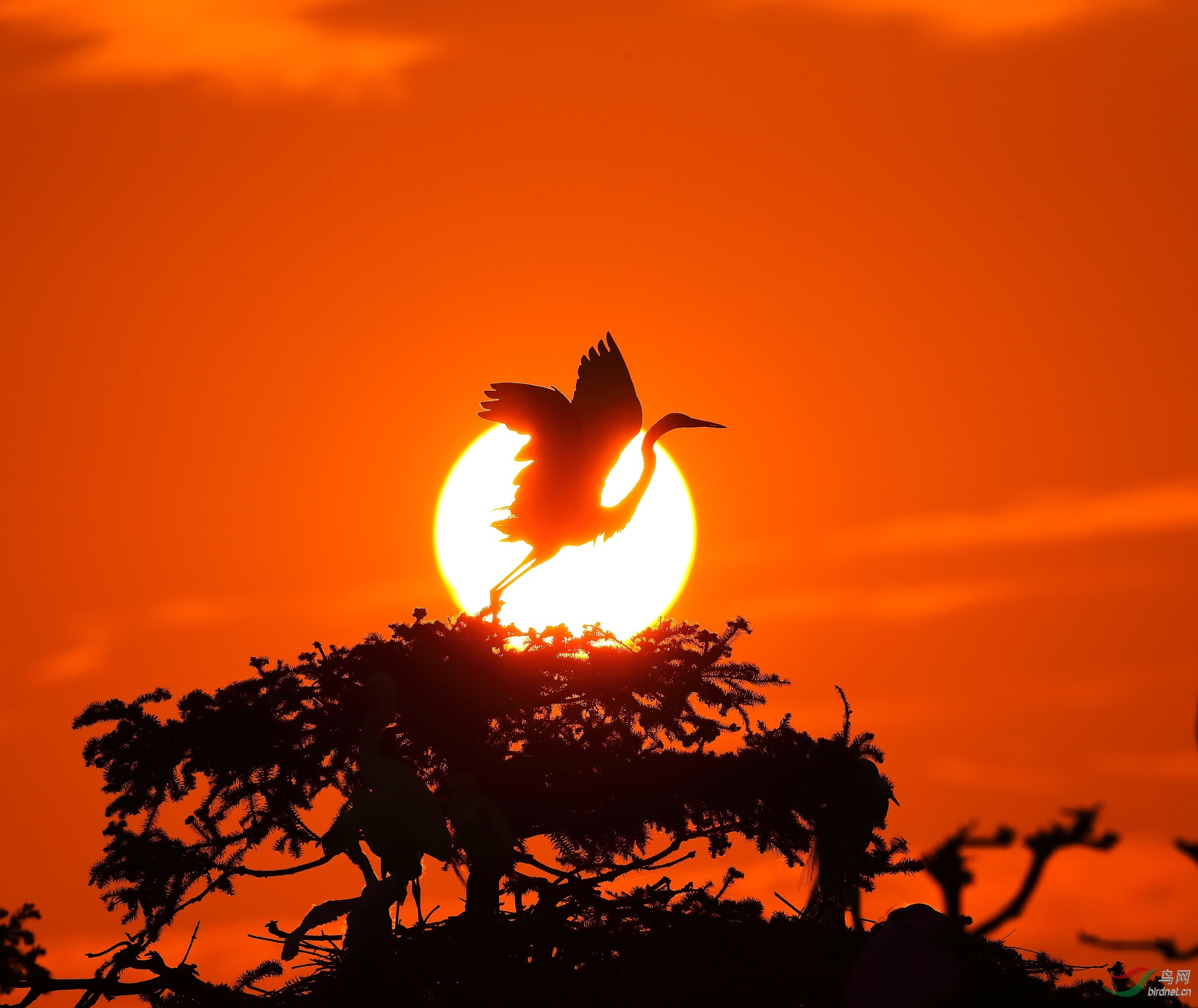 ����20202950.B12I2802         �ڷ� ���� ���ٻ� 13970800080.JPG