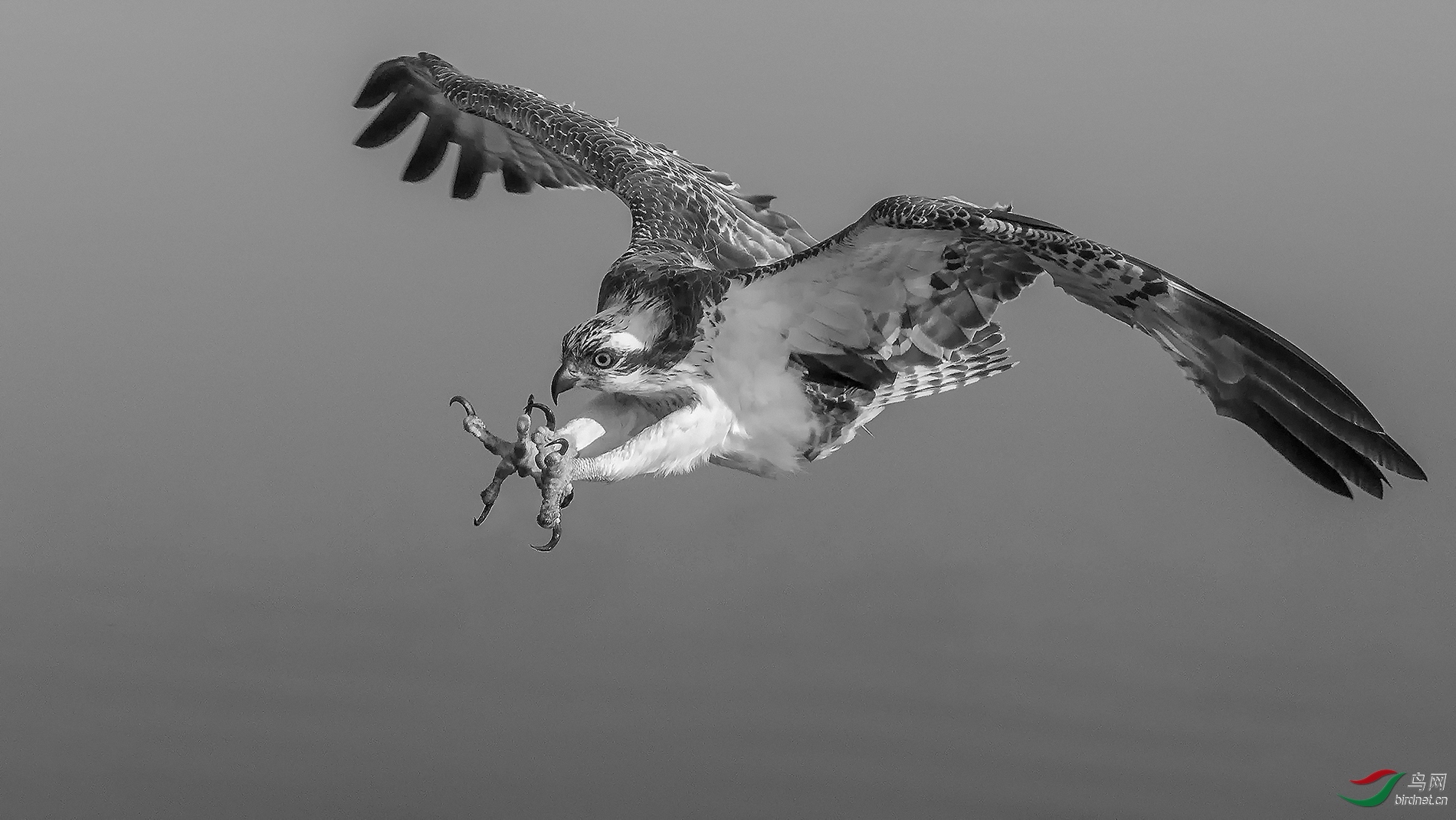 ����Т�п���20200971.���� (2).jpg