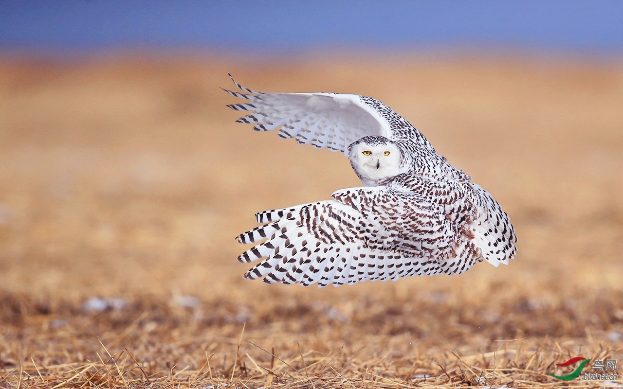 �������20202653.ѩ�^ (7).jpg