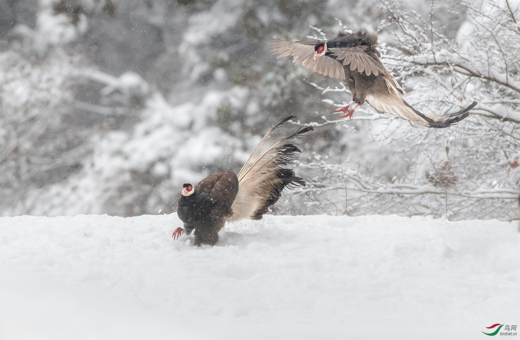 ��Ͽ֮��20202152.�ս� (2).jpg