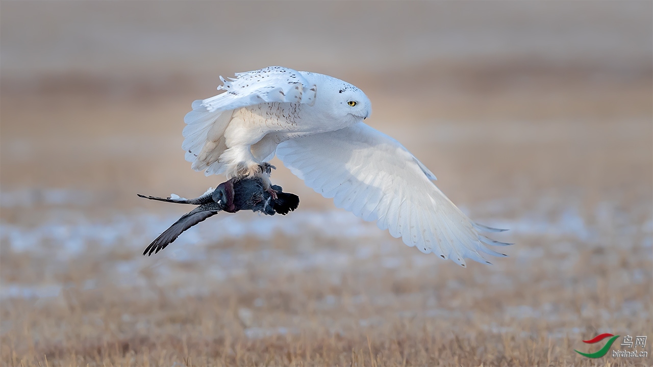 ���׻�20200607.[����] �����.jpg