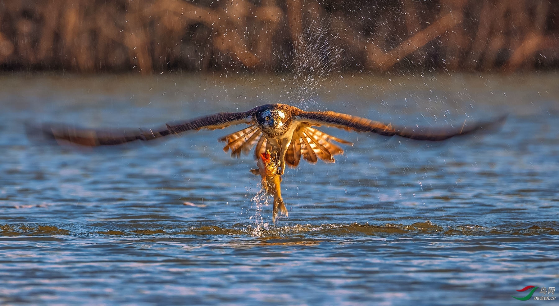 �ݸ���20201580.�ջ� (7).jpg