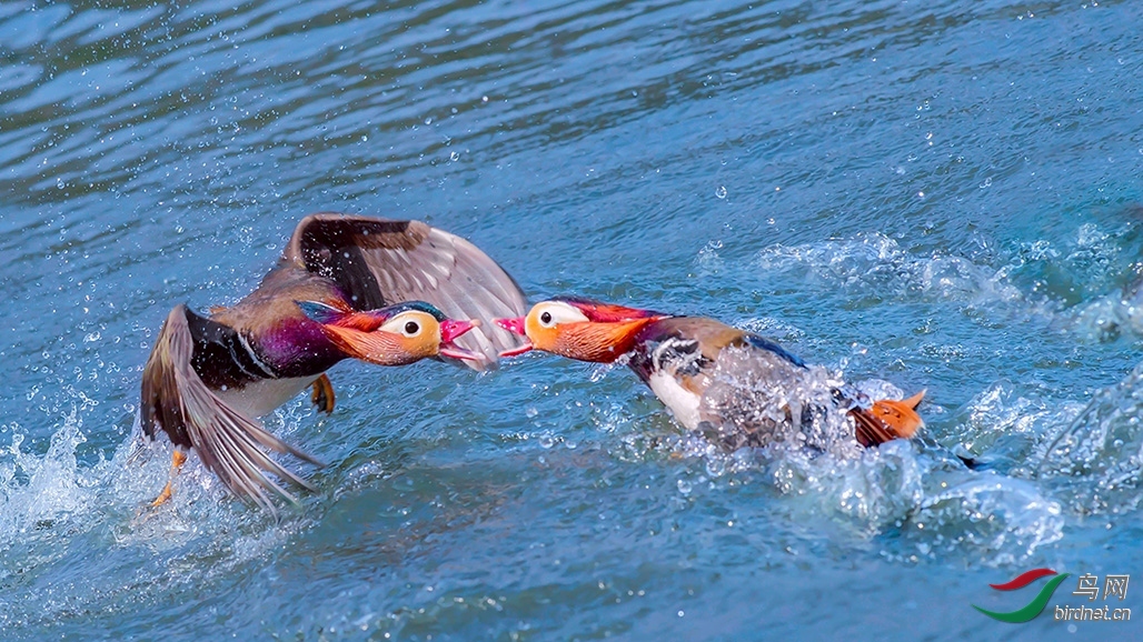 ����20200939.���� (2).jpg