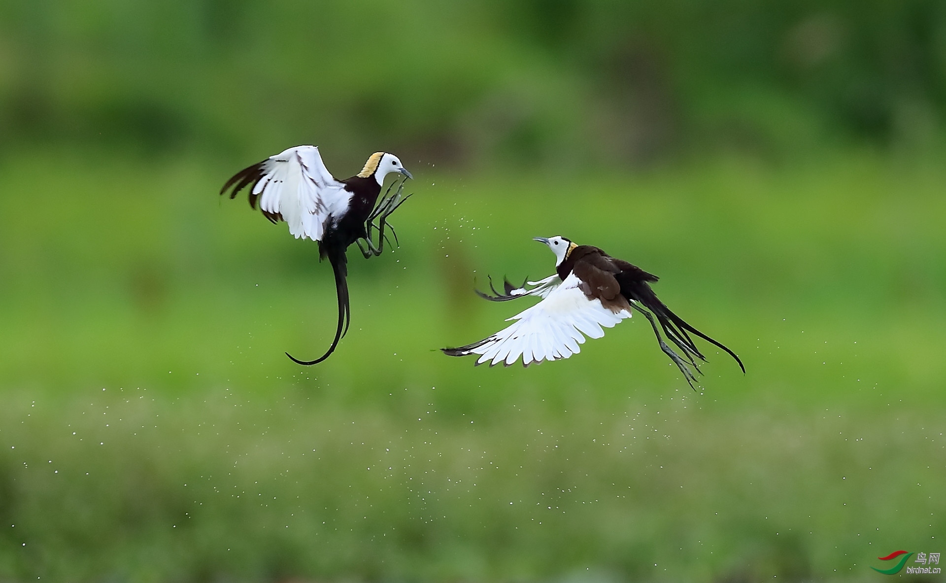 ����20202147.��ս (5).jpg